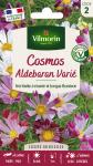 Fleurs - Cosmos Aldebaran - PACKAGING_RECTO